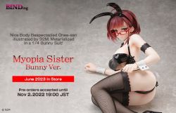 1/4 Myopia Sister Bunny Ver.