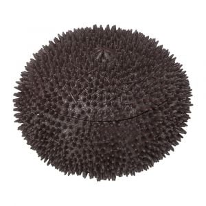 Sea Urchin PUZZLE