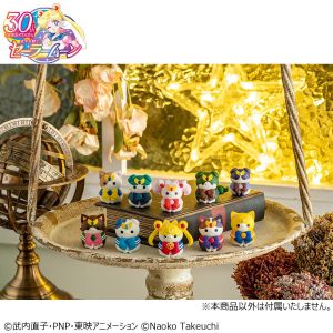MEGA CAT PROJECT Sailor Mewn Vol. 2 (set with gift)